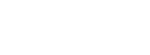Partner 1